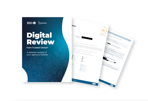Digital Review pages
