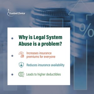 Legal System Abuse Education graphic