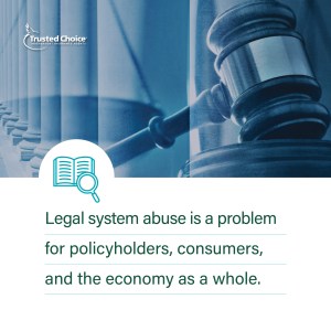 Legal System Abuse Education Graphic 2