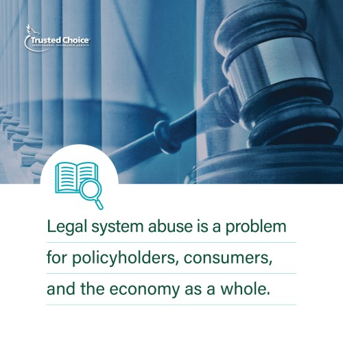 Legal System Abuse Education Graphic 2