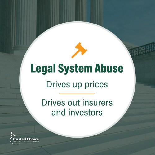 Legal System Abuse Education Graphic